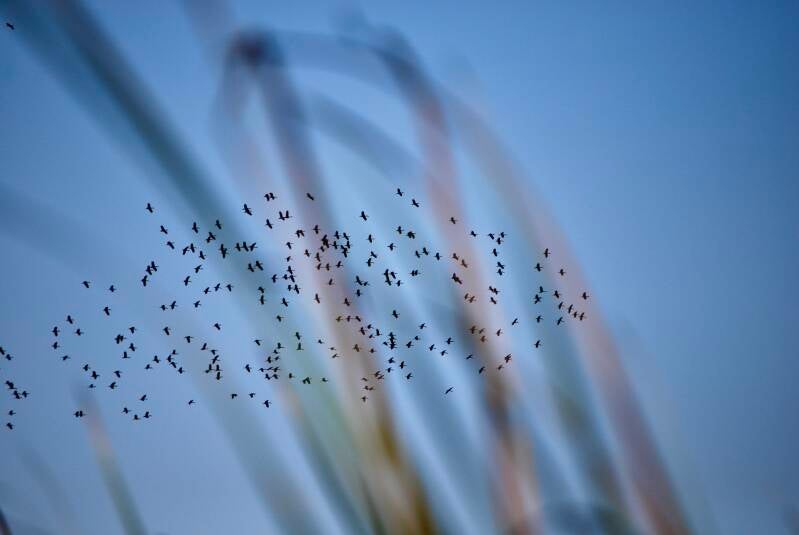 dsc_0248-2-standard-1i29xk.jpg