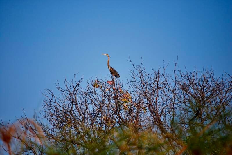 dsc_0249-2-standard-4xkqgg.jpg