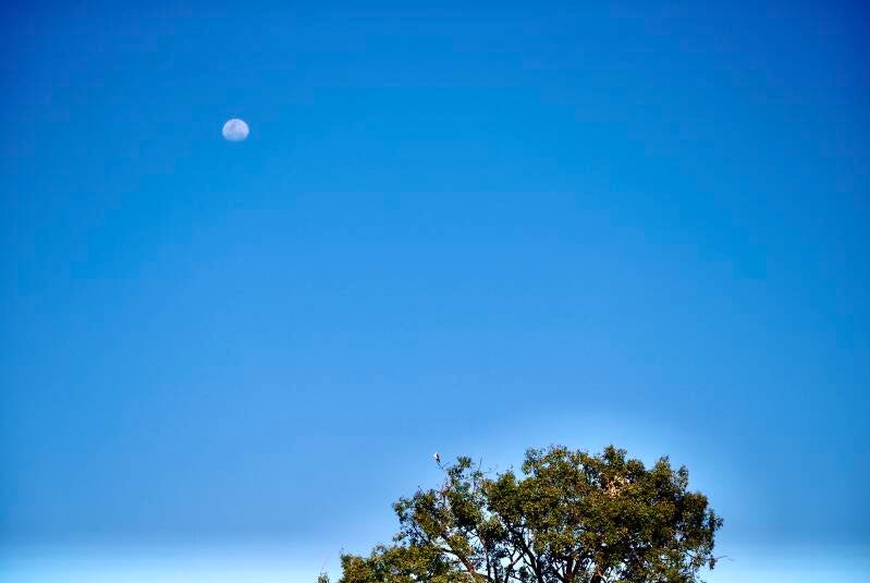 dsc_0291-standard-2vs88z.jpg