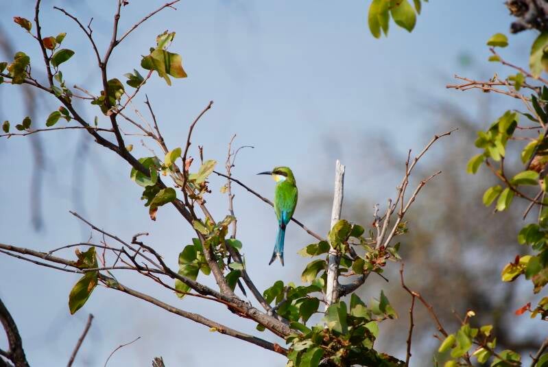 dsc_0443-2-standard-3fjwkq.jpg