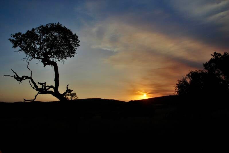 dsc_0473-standard-mhjjik.jpg
