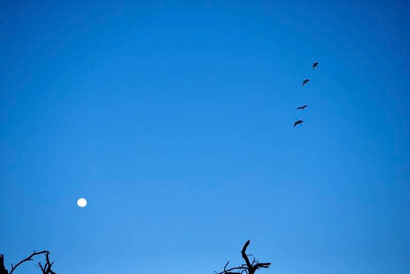 dsc_0670-standard-awpnvw.jpg