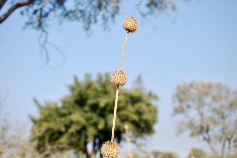 dsc_0867-standard-4n30xp.jpg