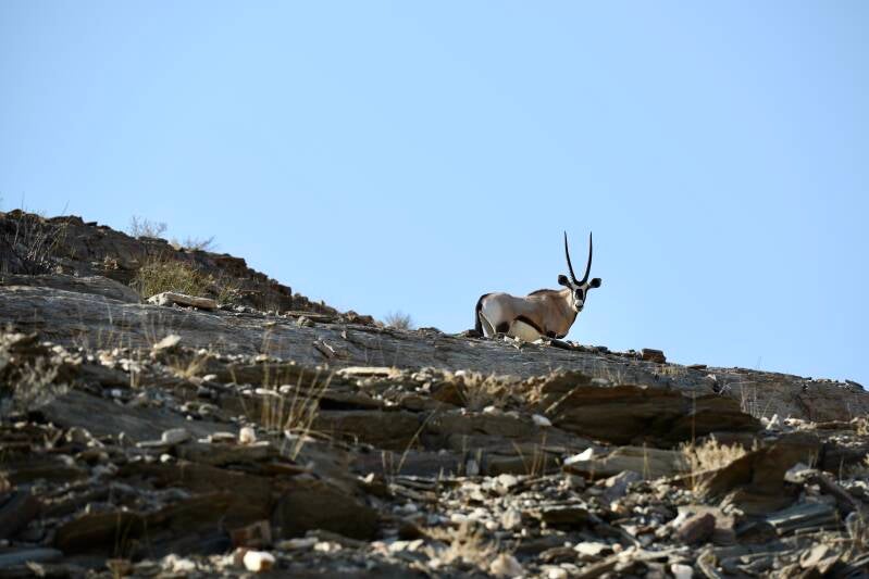 dsc_1099-standard-qtzqss.jpg
