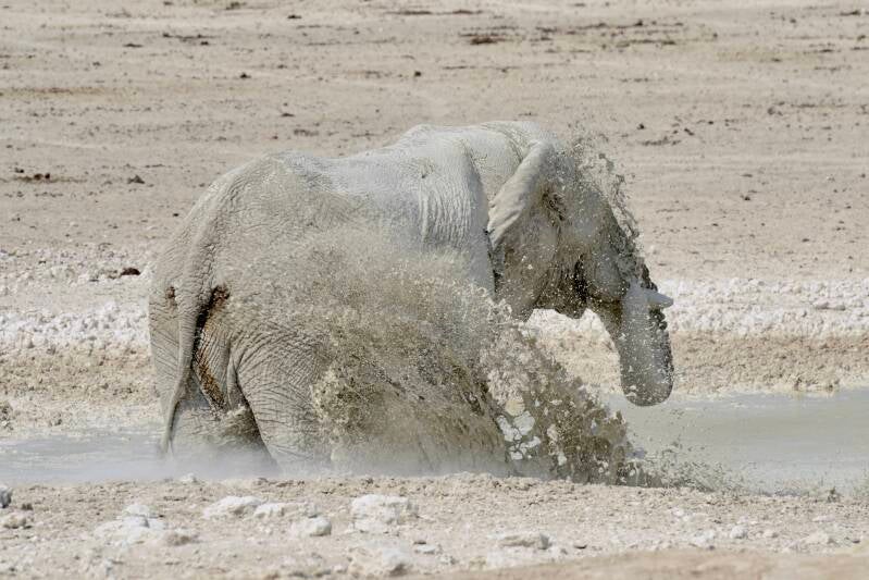 dsc_1876-standard-ub3ice.jpg