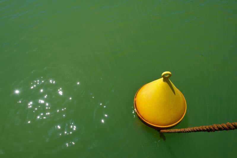 dsc_2129-standard-fneqjo.jpg