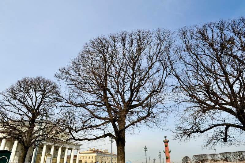 dsc_3257-standard.jpg