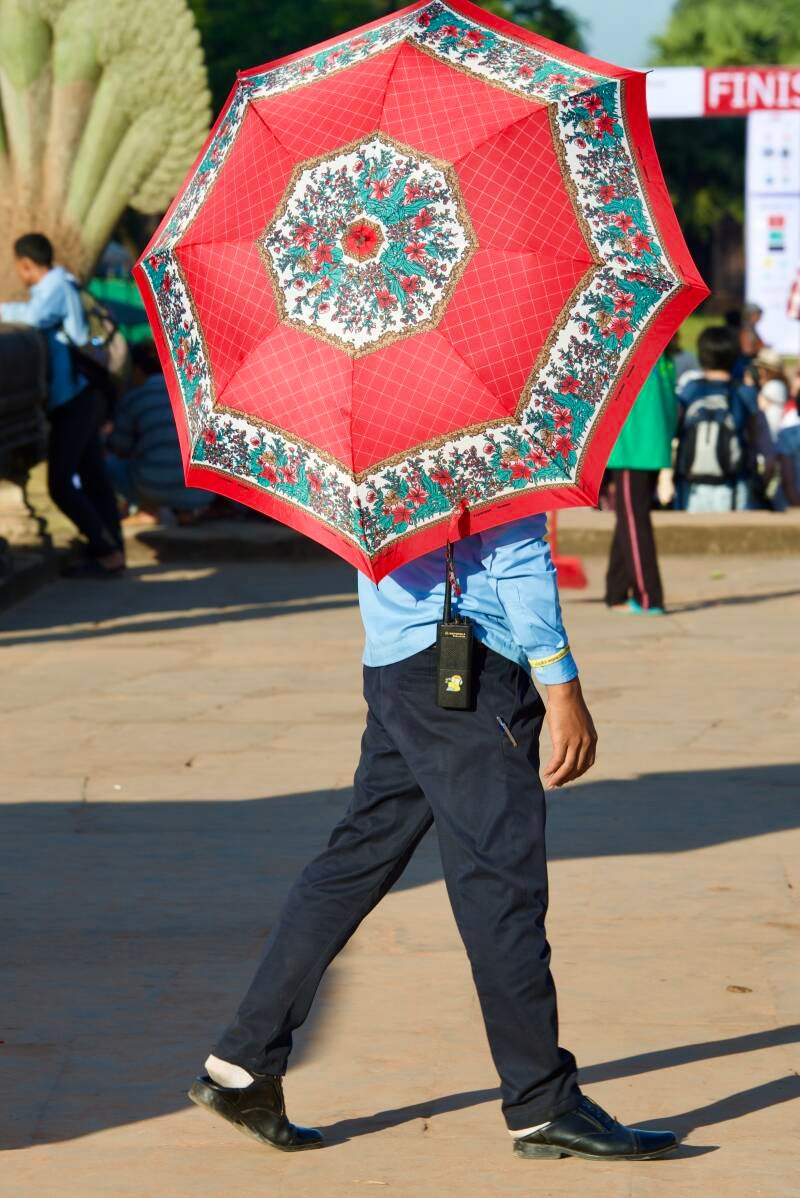 dsc_4096-standard-77znji.jpg