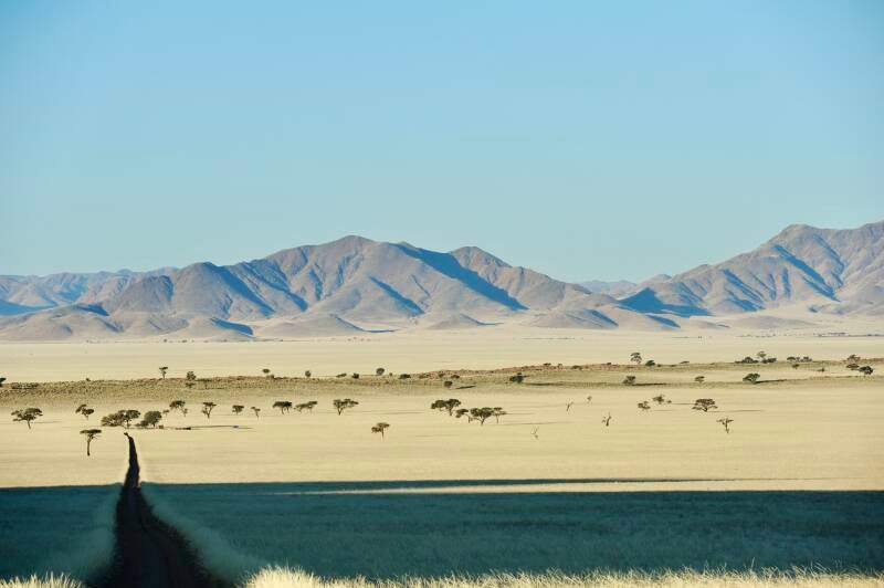 dsc_4300-standard-19zzx0.jpg