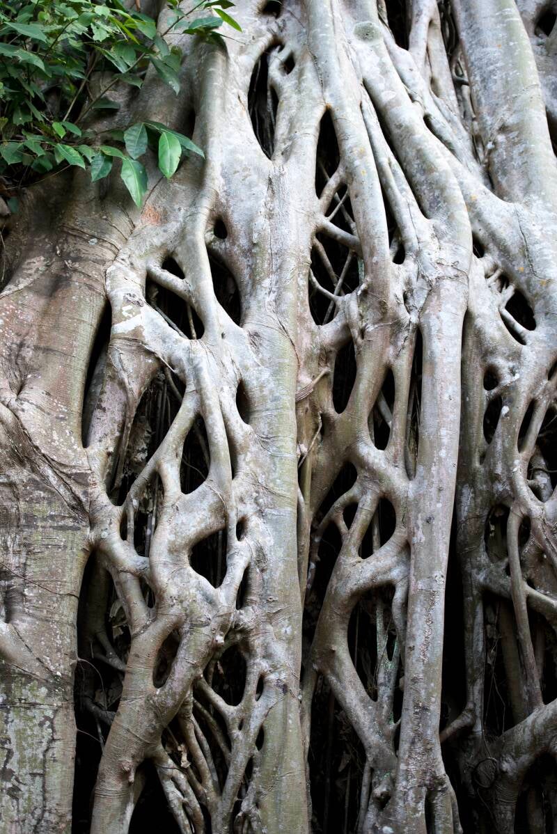 dsc_4381-standard-swzr6i.jpg