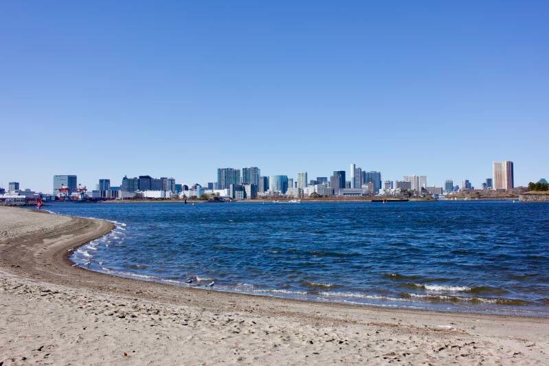 j1010306-standard-1rst07.jpg