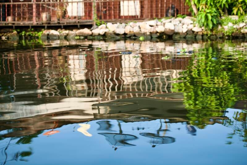 sea_7452-standard-flwu6c.jpg