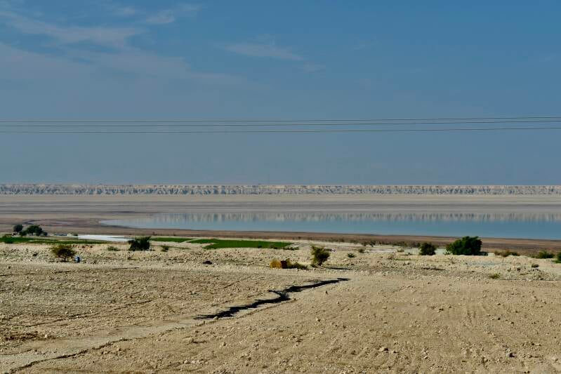 sea_7931-standard-6qsxlg.jpg