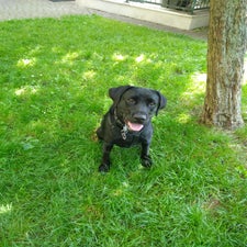 img-20230924-wa0014.jpg