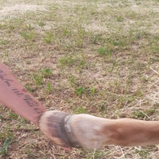 20220625_185750.jpg