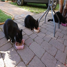 img-20230924-wa0000.jpg
