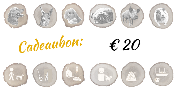 Cadeaubon € 20