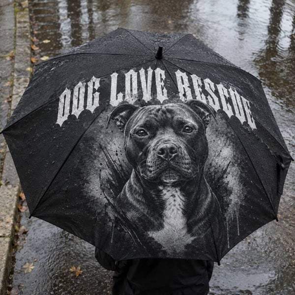 Regenschirm