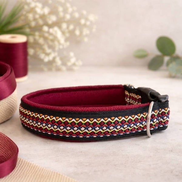Hundehalsband "kunterbunt"