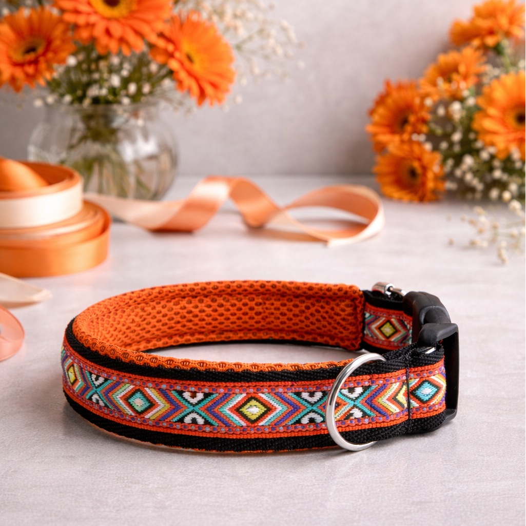 Hundehalsband "orange Rauten"