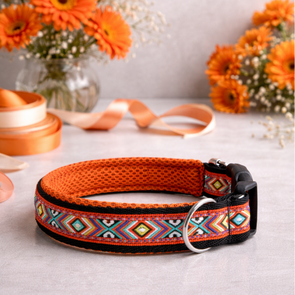 Hundehalsband "orange Rauten"