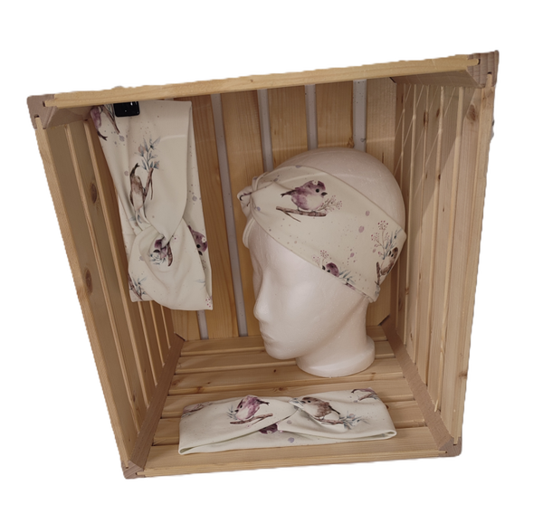 Stirnband-Frühlings Vögel