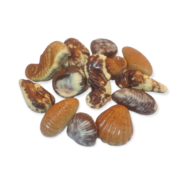 ZEEVRUCHTEN CHOCOLADE