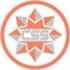 Commonwealth Security Services