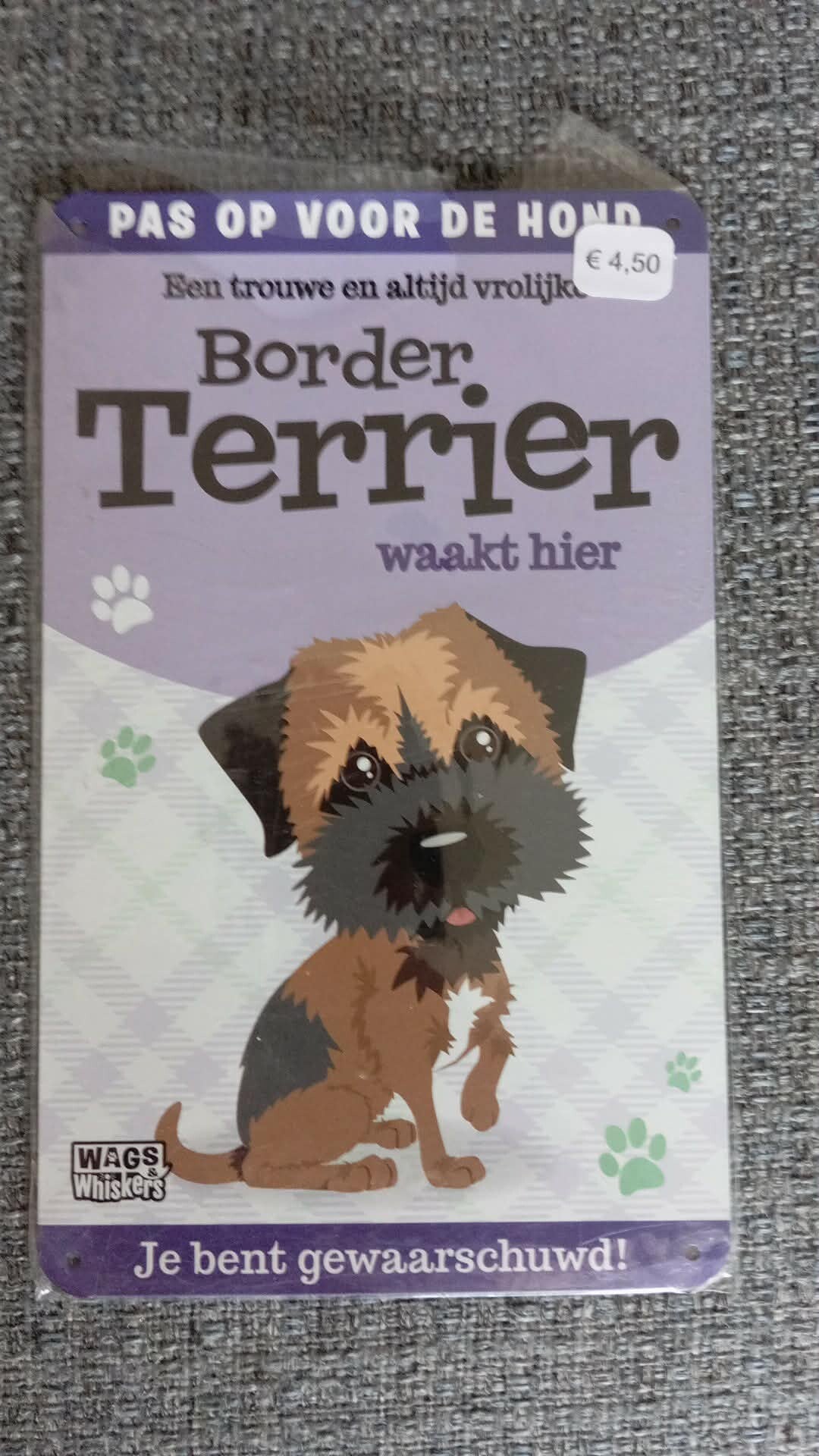 Border terrier