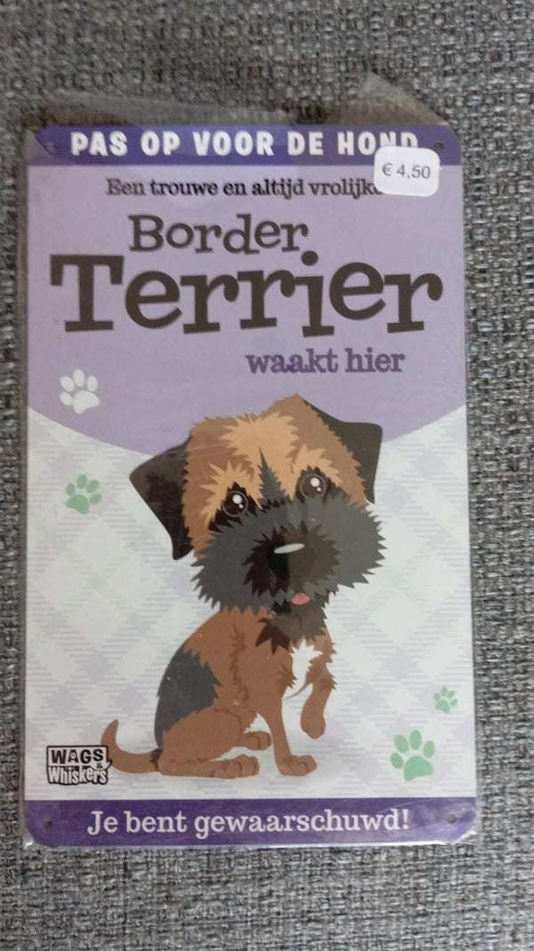 Border terrier