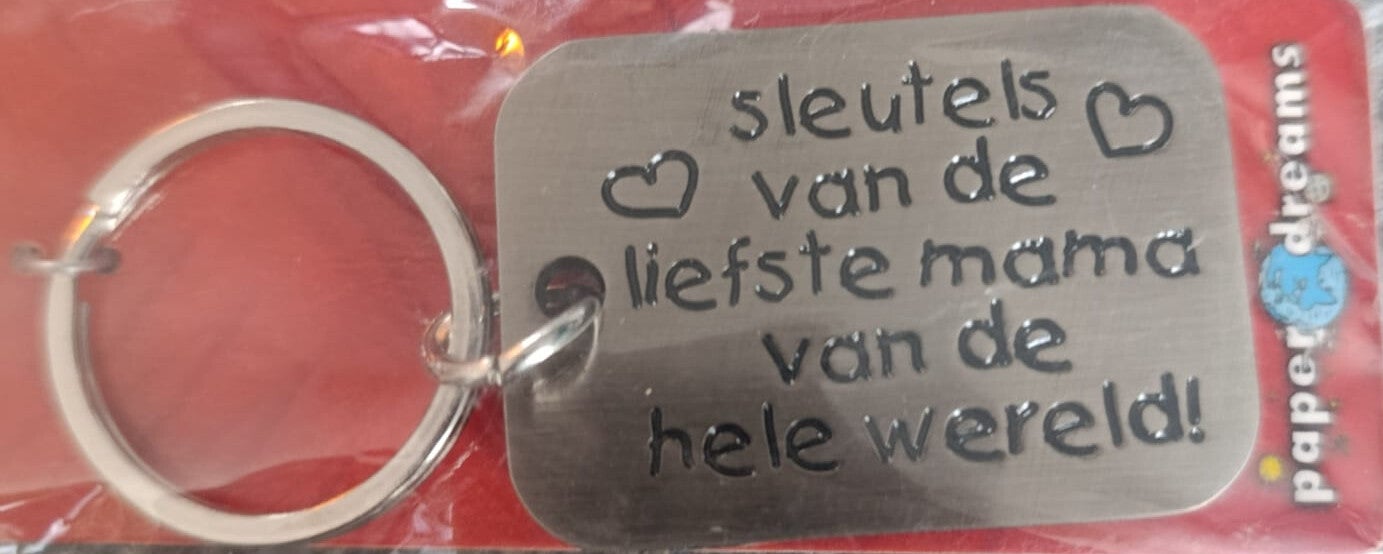 rvs sleutelhanger