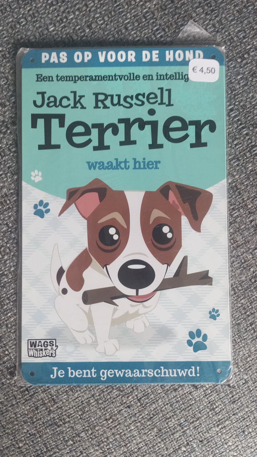 Jack Russell Terrier