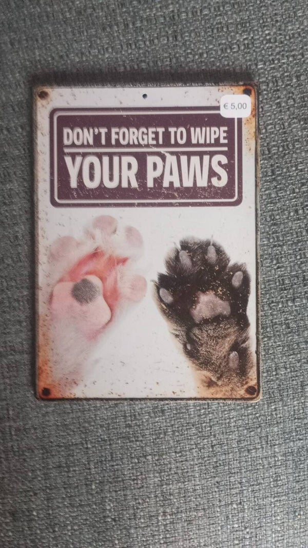 Your Paws