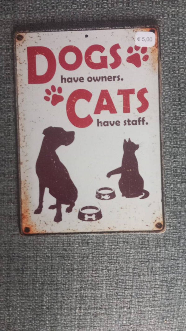Dogs Cats