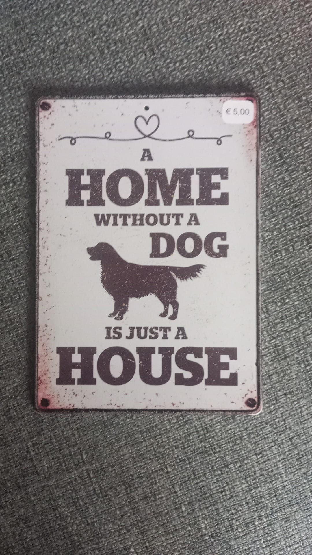 Home dog