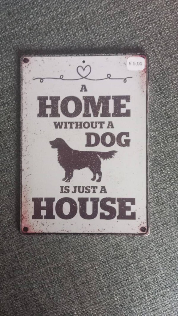 Home dog