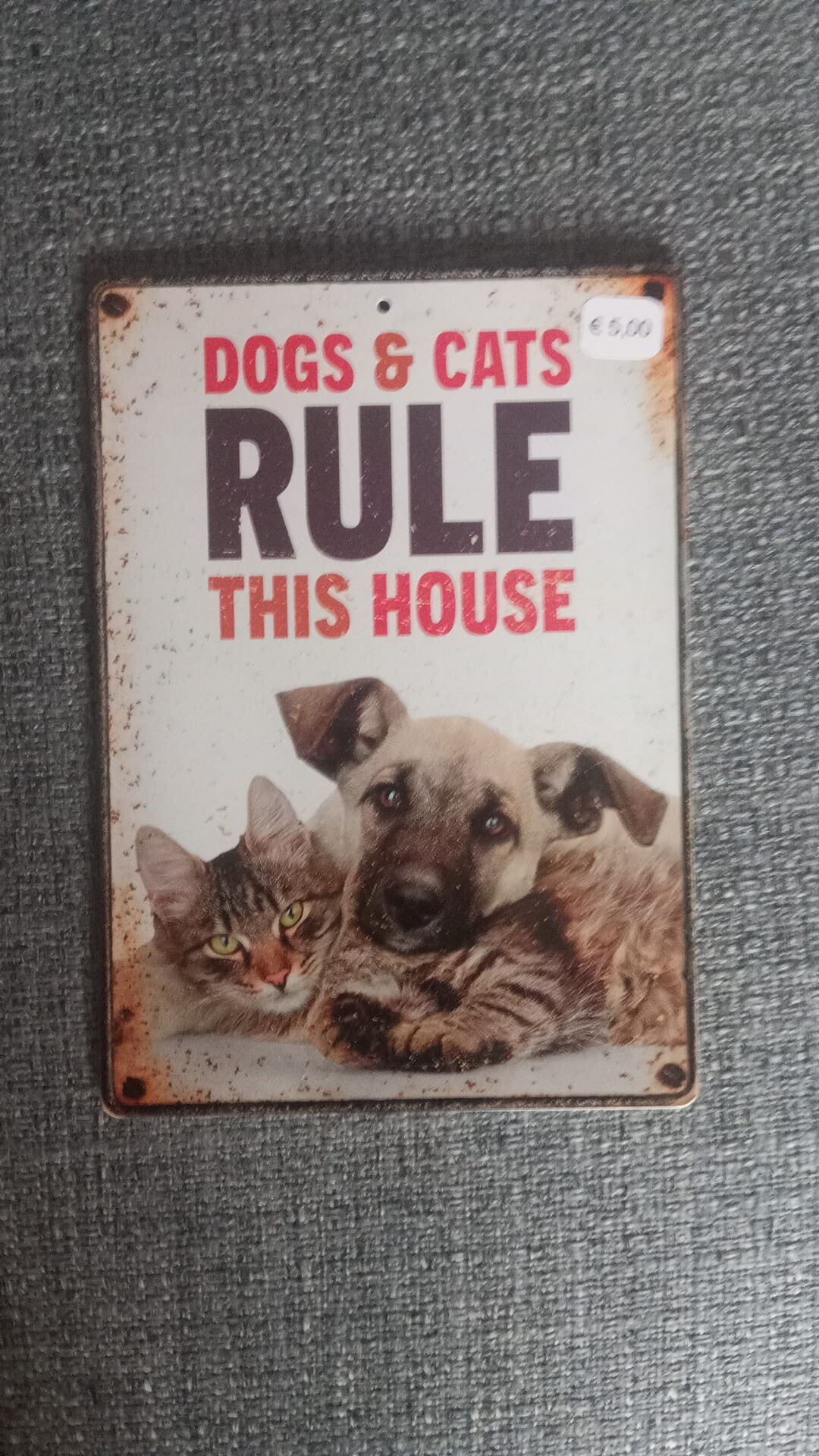 dog cat rule