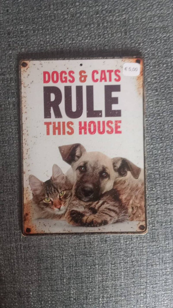 dog cat rule