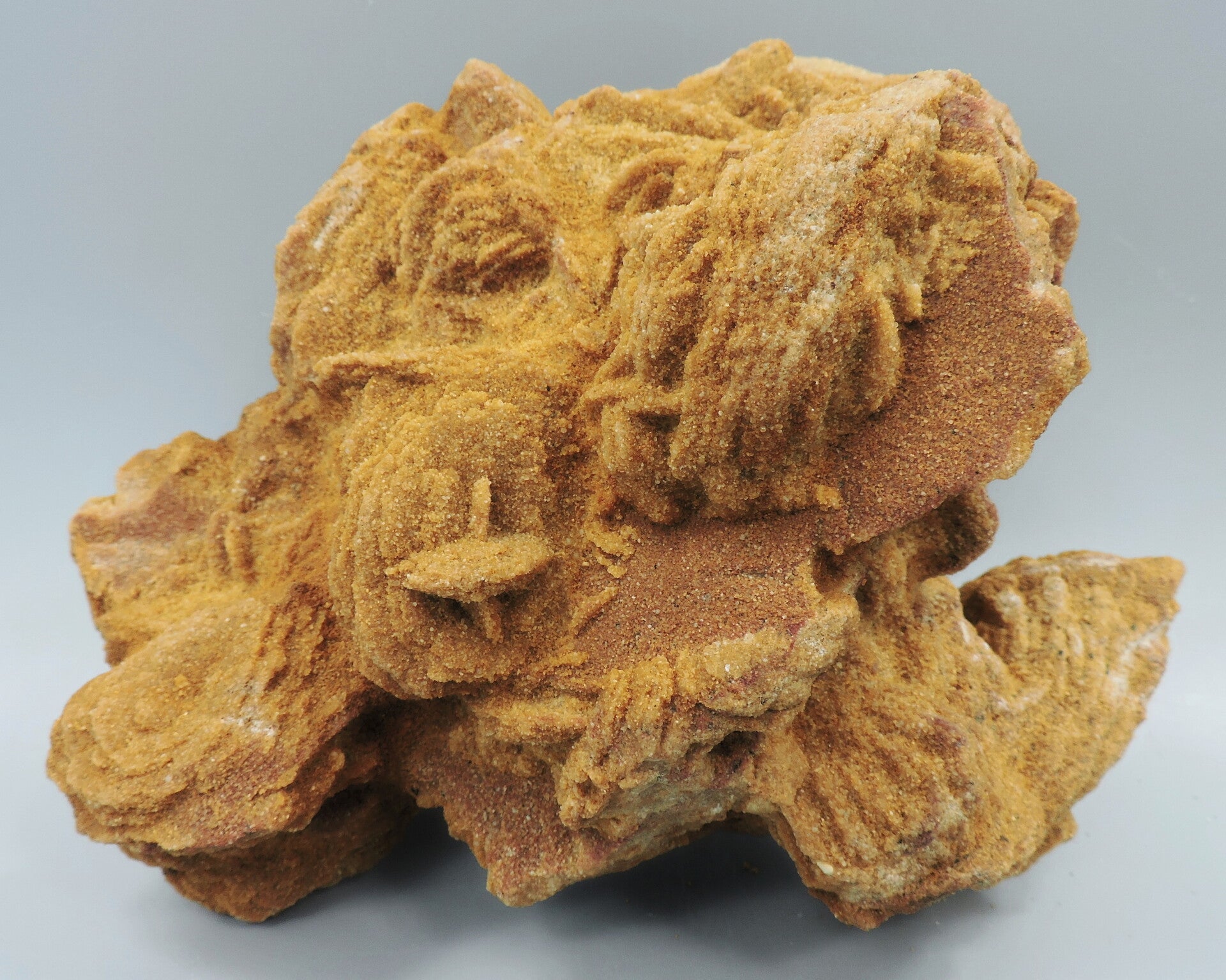 XL Baryte sand rose from Rockenberg, Germany – large cabinet size