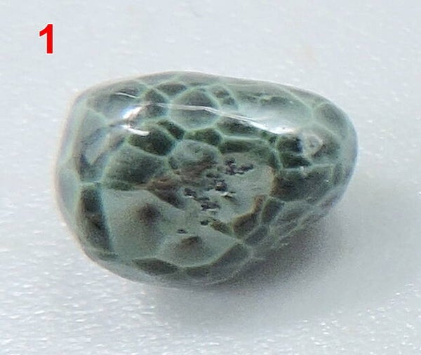 Chlorastrolite from Michigan, USA – thumbnails