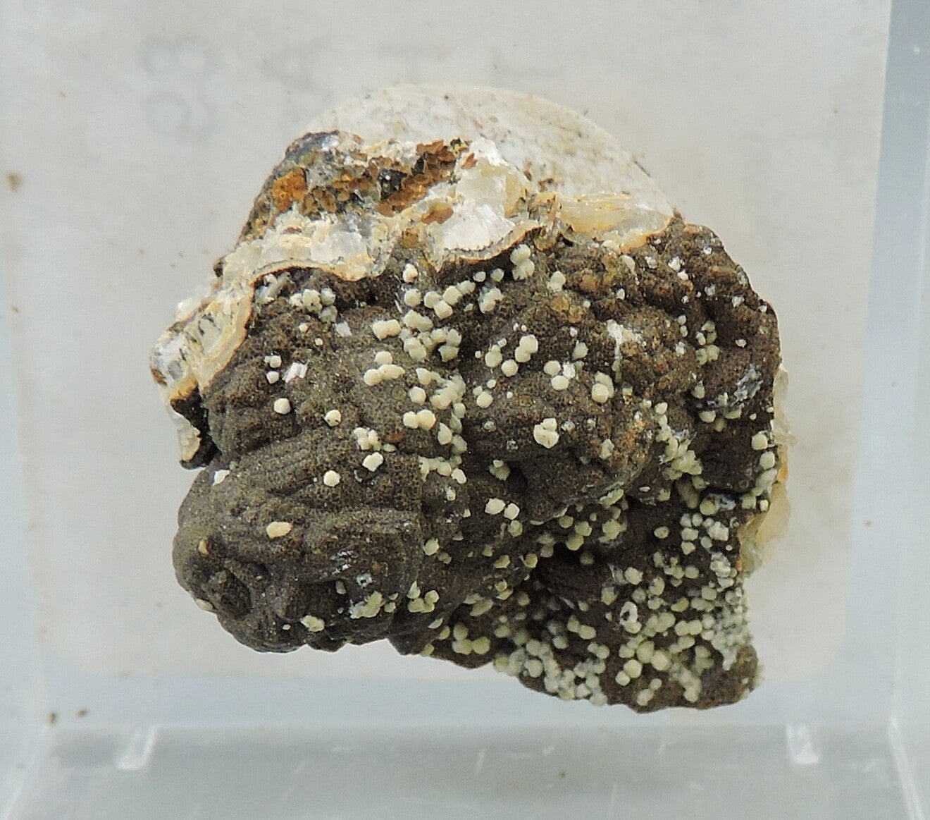 Analcime from the Czech Republic – thumbnail