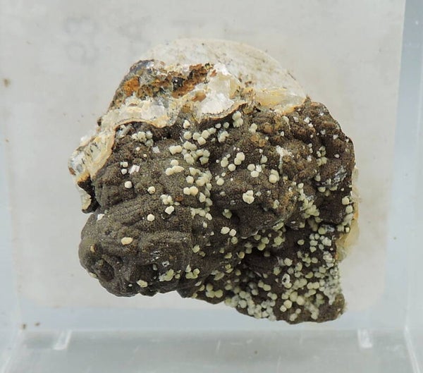 Analcime from the Czech Republic – thumbnail