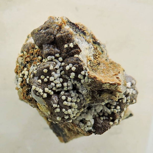Analcime from the Czech Republic – thumbnail