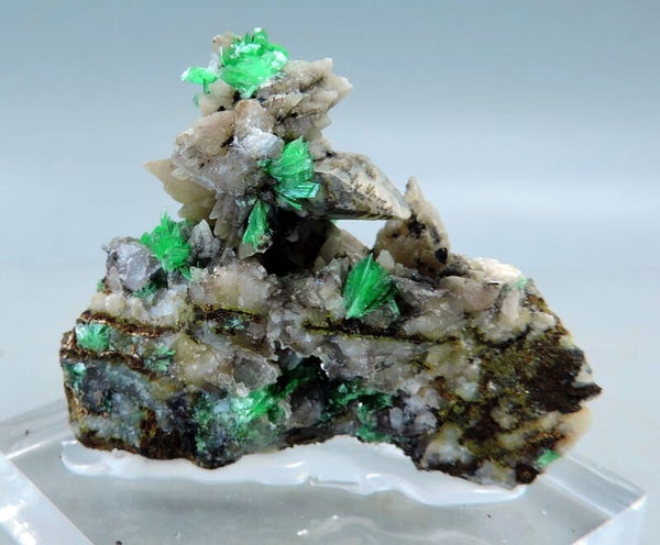 Annabergite on matrix from Greece - thumbnail