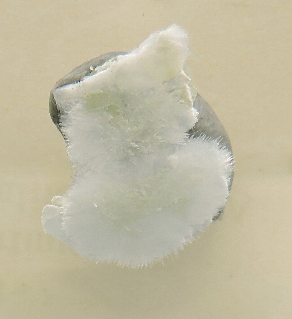 Artinite from California, USA – thumbnail