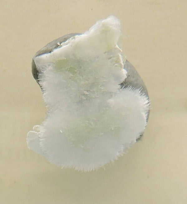 Artinite from California, USA – thumbnail