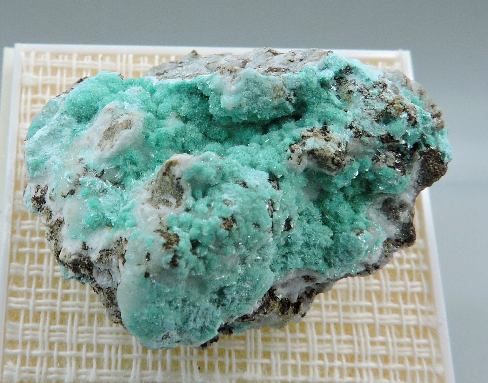 Aurichalcite from Arizona, USA – small miniature