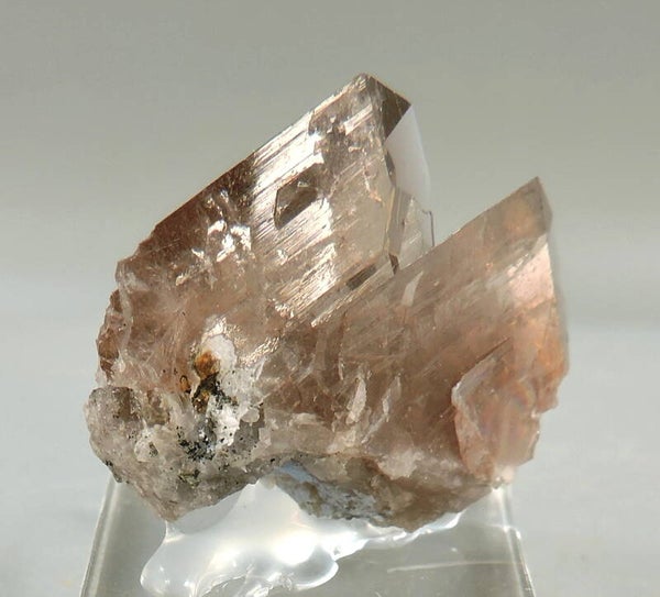 Axinite –(Fe) from England, UK – thumbnail