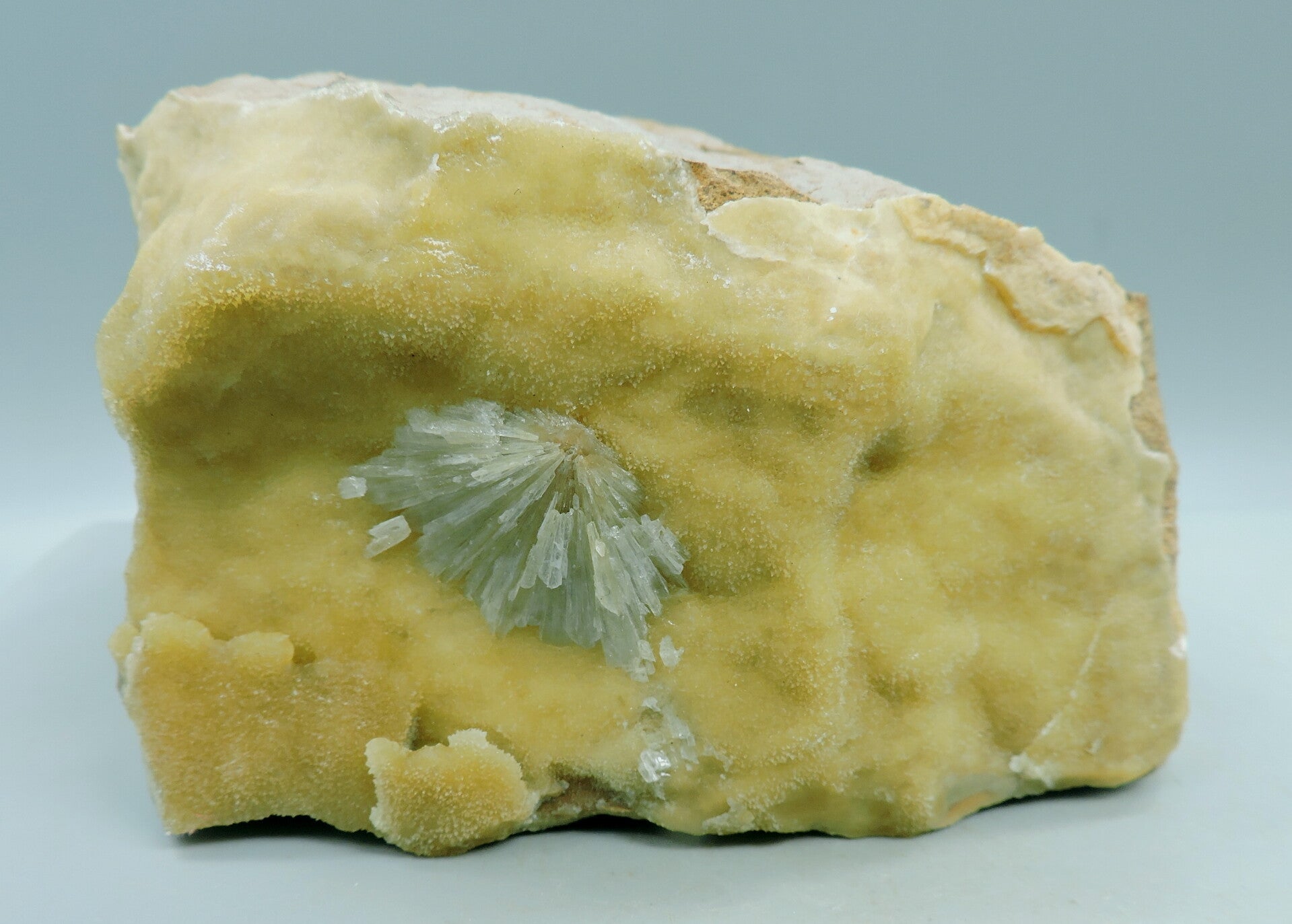 Baryte on calcite septaria from Warden Point, UK - cabinet size