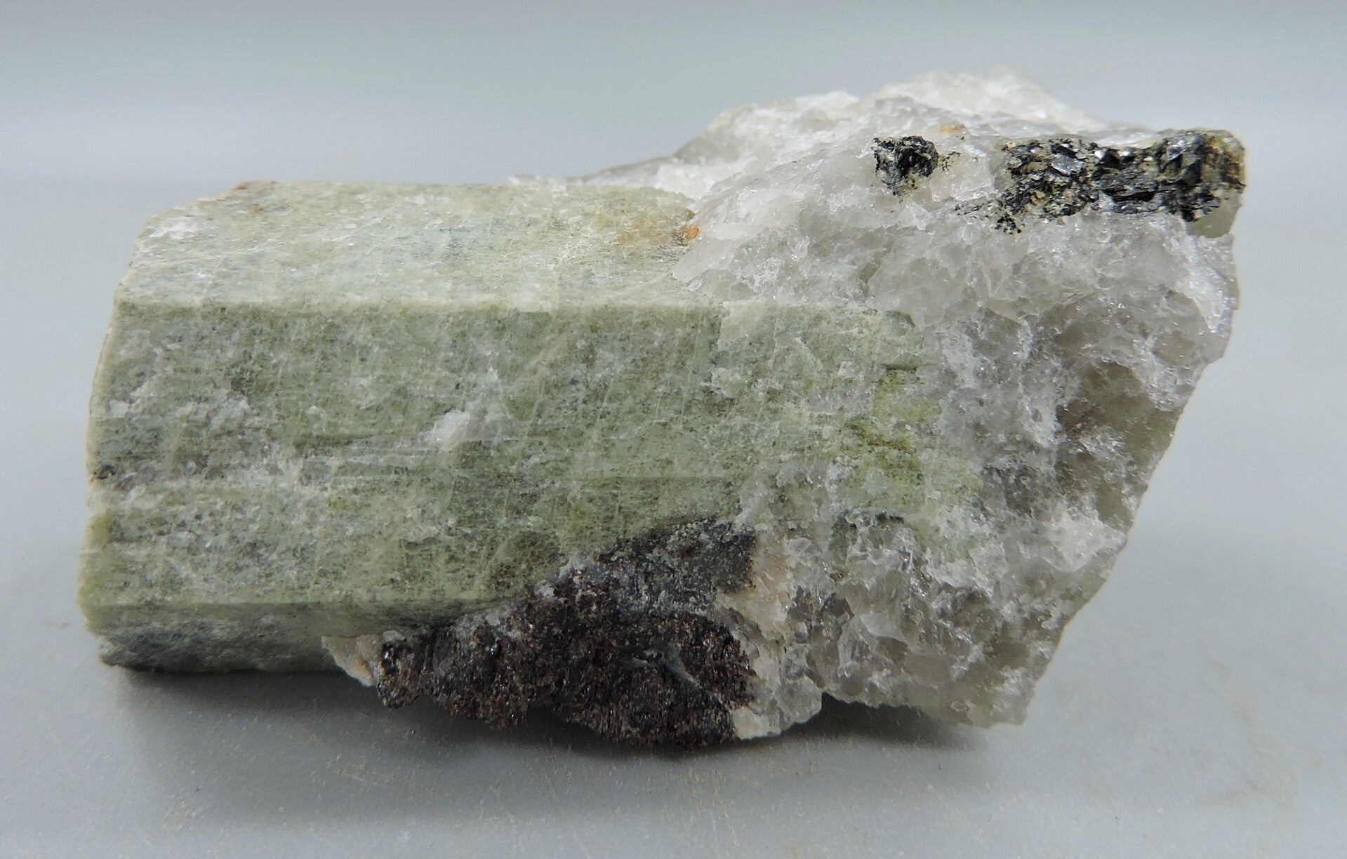 Beryl from Norway – miniature